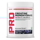 1 - GNC Pro Performance Pure Micronized Creatine Monohydrate,  Blueberry  0.88 lb 