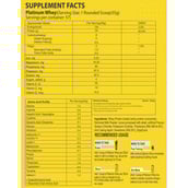 Muscle Performance Platinum Whey,  4.4 lb  Irish Chocolate with Steel Shaker 