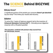 4 - MuscleBlaze Biozyme Gold 100% Whey,  4.4 lb  Monk Fruit Sweetened Chocolate Hazelnut