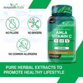 4 - NourishVitals Amla Vitamin C,  60 veggie capsule(s)  Unflavoured 