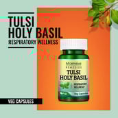 2 - Morpheme Remedies Tulsi-HolyBasil (500 mg),  60 veggie capsule(s) 