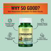 3 - Morpheme Remedies Cinnamon (500 mg),  60 veggie capsule(s) 