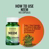 2 - Morpheme Remedies Neem (500 mg),  60 veggie capsule(s) 