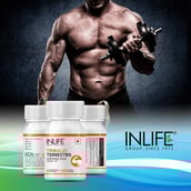 3 - INLIFE Tribulus Terrestris, 60 capsules