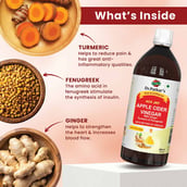 2 - Dr. Patkar's Apple Cider Vinegar, 1 L with Ginger, Turmeric and Fenugreek
