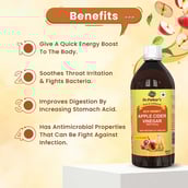 3 - Dr. Patkar's Apple Cider Vinegar,  0.5 L  Honey 