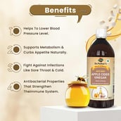 3 - Dr. Patkar's Apple Cider Vinegar (Pack of 2),  1 L  Garlic & Honey 