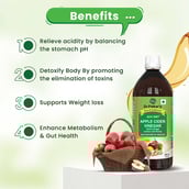 3 - Dr. Patkar's Apple Cider Vinegar with Garlic, Ginger, Lemon and Honey (pack of 2),  500 ml  Garlic, Ginger, Lemon and Honey 