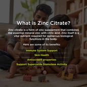 6 - Health Veda Organics Zinc Citrate, 120 capsules