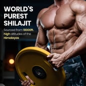 6 - Himalayan Organics Himalayan Shilajit,  20 g 