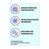 6 - Smash Micronised Creatine Monohydrate, Unflavoured 0.22 lb