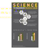 1 - MuscleBlaze Biozyme Performance Whey,  2.2 lb  Light Chocolate