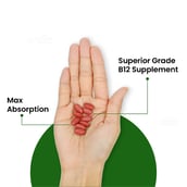 5 - Vlado's Himalayan Organics Methylcobalamin Vitamin B12 500mcg,  90 tablet(s)  Unflavoured 