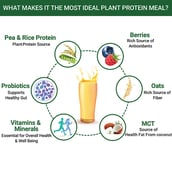 6 - INLIFE Vegan Protein Meal Shake,  0.5 kg  Mango 