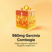 6 - GNC Pro Performance 100% Whey + Keto Surge,  1 lb  Chocolate 