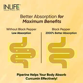 9 - INLIFE Turmeric Curcumin,  60 tablet(s) 