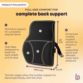 6 - betterhood Coccyx Back Support & Seat Cushion Combo,  Black  for Chair 