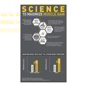 8 - MuscleBlaze Biozyme Iso-Zero,  2.2 lb  Low Carb Swiss Chocolate Hazelnut - Low Sweetness