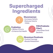 2 - Dr. Morepen LightLife Power Plan,  10 sachets/pack  Pre-Meal Nutrition Mix flavour Assorted & On-The-Go Meal 5 Sachets flavour Chocolate 