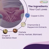 2 - Best Naturals Healthy Gut,  60 tablet(s) 