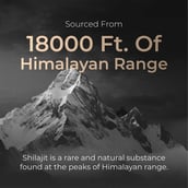 5 - Nutrabay Pure Himalayan Shilajit Resin,  20 g 