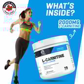 6 - Muscle Trail L-Carnitine, 0.33 lb Unflavoured