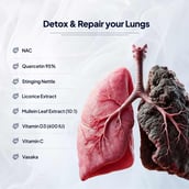 2 - Miduty Lung Detox,  60 capsules 