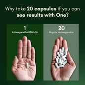 4 - Rasayanam Ashwagandha KSM-66,  60 capsules 