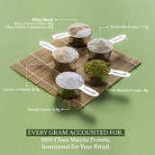 12 - TrueBasics Clean Whey Protein (Isolate + Concentrate), 2.2 lb Matcha