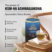 2 - Bargad KSM-66 Ashwagandha Honey Sticks Vanilla,  30 Stick(s) 