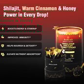 4 - Bargad Himalayan Shilajit Honey Sticks Cinnamon Flavour,  30 Stick(s) 