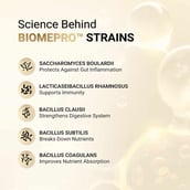 4 - MuscleBlaze Biozyme Gold 100% Whey,  4.4 lb  Double Rich Chocolate