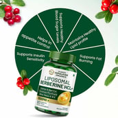 6 - Vlado's Himalayan Organics Liposomal Berberine HCL+,  60 tablet(s) 