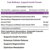 4 - BIOSAP Fortified Jamun, 60 veggie capsule(s)