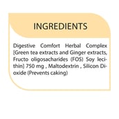 2 - BIOSAP Smoky Ginger,  25 Stick(s)  Green Tea + Ginger 