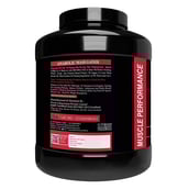 3 - Muscle Performance Anabolic Mass Gainer,  5.5 lb  Irish Chocolate with Steel Shaker 