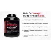 2 - Muscle Performance Anabolic Mass Gainer,  5.5 lb  Rabri Kulfi 