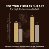 2 - Rasayanam Pure Himalayan Shilajit,  20 g 