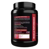 5 - Muscle Performance Anabolic Mass Gainer,  2.2 lb  Creamy Vanilla 