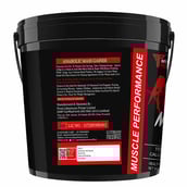 3 - Muscle Performance Anabolic Mass Gainer,  11 lb  Irish Chocolate 
