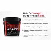 8 - Muscle Performance Anabolic Mass Gainer,  11 lb  Irish Chocolate 
