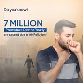 8 - Miduty Lung Detox,  60 capsules 