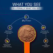 3 - AS-IT-IS Nutrition ATOM Whey Protein with Enzymes, 8.8 lb Choco Hazel Fusion