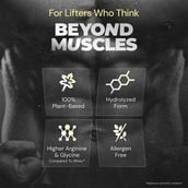 5 - Nutrabay Gold Pea Protein,  1.1 lb  French Vanilla 