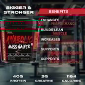 6 - Muscle Performance Anabolic Mass Gainer with Creatine Monohydrate 0.66 lbs & Steel Shaker Combo, 11 lb Irish Chocolate