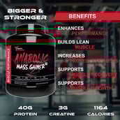 6 - Muscle Performance Anabolic Mass Gainer with Creatine Monohydrate 0.66 lbs Combo,  5.5 lb  Belgium Chocolate 