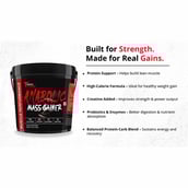 9 - Muscle Performance Anabolic Mass Gainer with Creatine Monohydrate 0.66 lbs Combo, 11 lb Creamy Vanilla