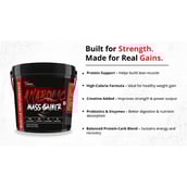 9 - Muscle Performance Anabolic Mass Gainer with Gym Bag Combo,  11 lb  Irish Chocolate 