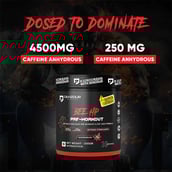 3 - Denzour Nutrition Bee Hp Pre-Workout,  0.66 lb  Watermelon 