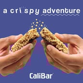 6 - Calibar Protein Bar 20g Protein,  17 bar(s)  Almond choco (Pack of 6) Banana Binge (Pack of 6) Variety Pack (Pack of 5 ) 